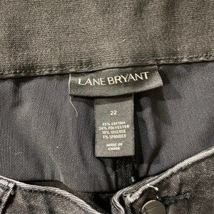 Plus Size Lane Bryant Jeans